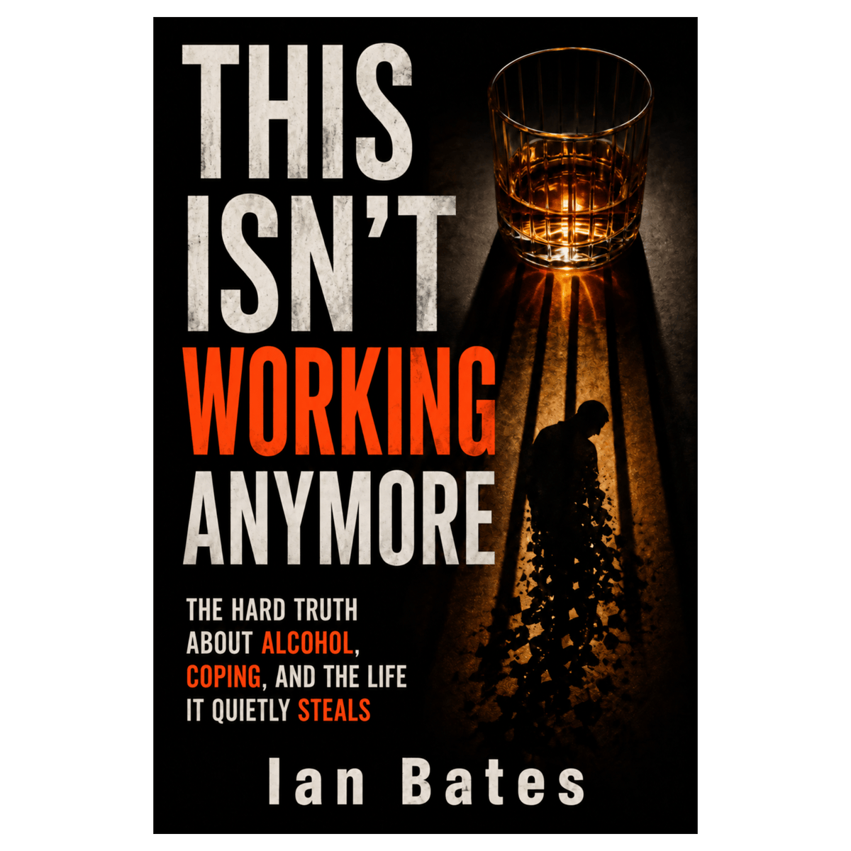 THIS ISN’T WORKING ANYMORE (Paperback)